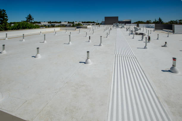 Best Roof Moss and Algae Removal  in Bedford, IA